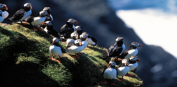 Isole Faroe - Isole autentiche, incontaminate e intatte all'estremo nord dell'Europa 2